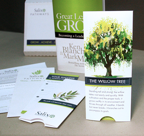 Promoting Pathways Brochure Design