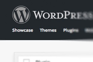 Wordpress Website Design Thumbnail